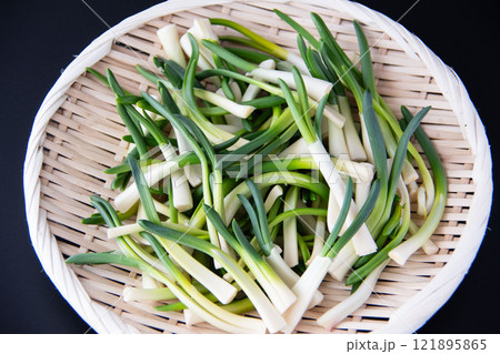 ザルに盛ったあさつき ザルに盛ったあさつき 121895865