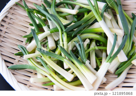 ザルに盛ったあさつき ザルに盛ったあさつき 121895868