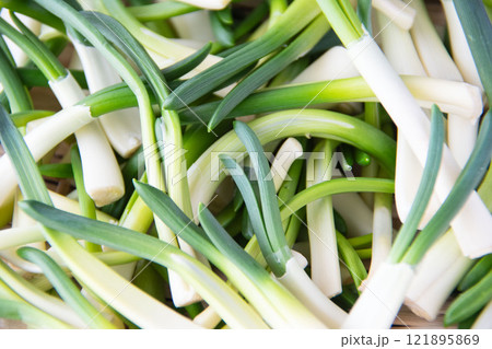 ザルに盛ったあさつき 121895869