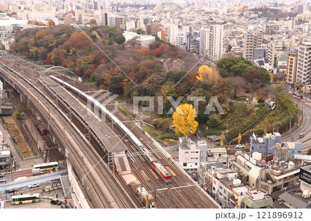 EF81形電気機関車が牽く、JR東日本の豪華寝台特急・E26系・カシオペア・カシオペア紀行8 EF81形電気機関車が牽く、JR東日本の豪華寝台特急・E26系・カシオペア・カシオペア紀行8 121896912