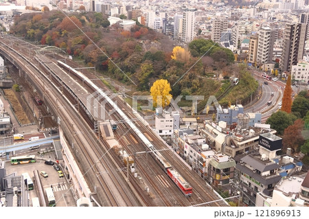 EF81形電気機関車が牽く、JR東日本の豪華寝台特急・E26系・カシオペア・カシオペア紀行6 EF81形電気機関車が牽く、JR東日本の豪華寝台特急・E26系・カシオペア・カシオペア紀行6 121896913