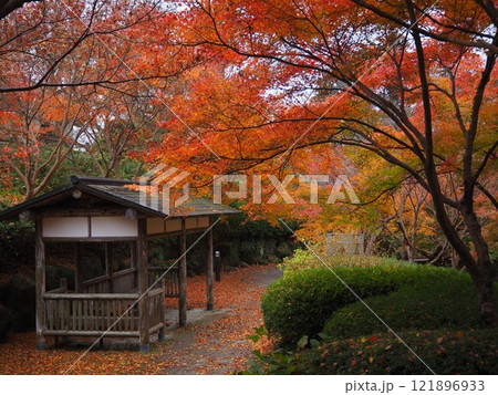 落葉間近の根来寺の紅葉 落葉間近の根来寺の紅葉 121896933