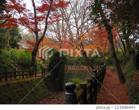 落葉間近の根来寺の紅葉 121896945