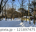 冬の晴れた日の雑木林 121897475
