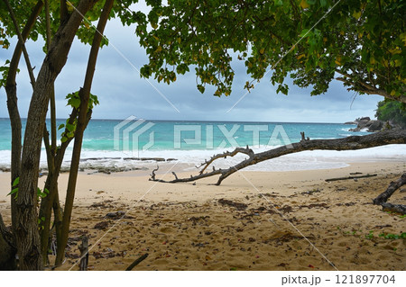 Beach on the shores of the Indian Ocean on the island of Mahe in Seychelles Beach on the shores of the Indian Ocean on the island of Mahe in Seychelles 121897704