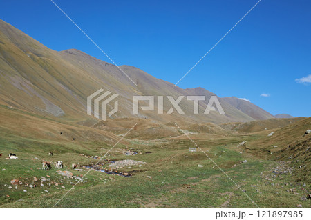 Stunning mountain landscape under a blue sky green valley, perfect for adventure Stunning mountain landscape under a blue sky green valley, perfect for adventure 121897985