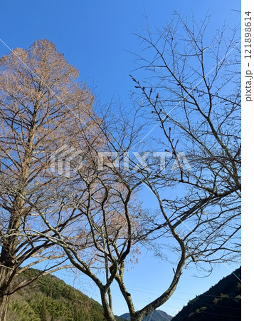 阪内川上流の青空 阪内川上流の青空 121898614