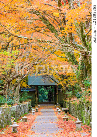 秋の両子寺 大分県国東市 秋の両子寺 大分県国東市 121898868