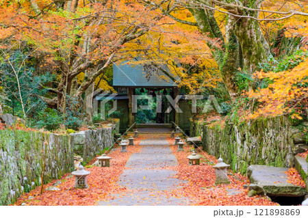 秋の両子寺 大分県国東市 秋の両子寺 大分県国東市 121898869