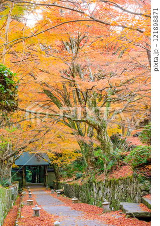 秋の両子寺 大分県国東市 秋の両子寺 大分県国東市 121898871