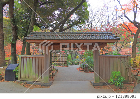 神奈川県横浜市、横浜公園の風景 121899093
