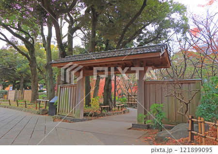 神奈川県横浜市、横浜公園の風景 121899095