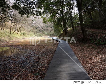 坂田ケ池総合公園 121899326