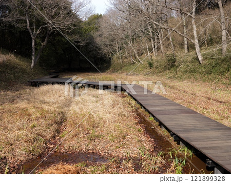 坂田ケ池総合公園 坂田ケ池総合公園 121899328