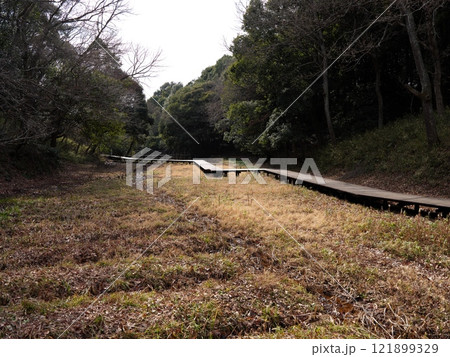 坂田ケ池総合公園 坂田ケ池総合公園 121899329