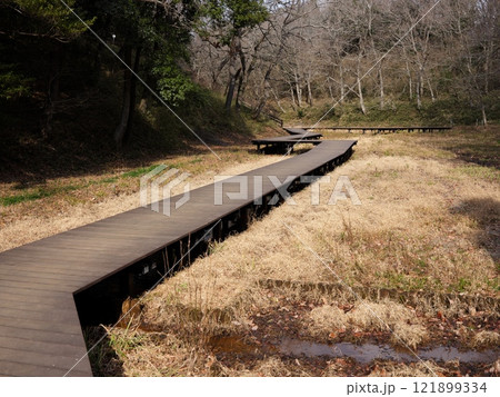 坂田ケ池総合公園 121899334