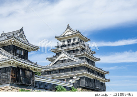 大分県中津市　晴天の中津城天守と大鞁櫓 121899465