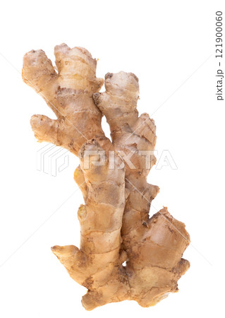 ginger isolated ginger isolated 121900060