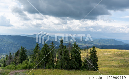Mountains ranges in the Carpathians. Hills, forest and meadows Mountains ranges in the Carpathians. Hills, forest and meadows 121900419