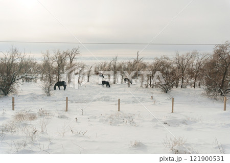 Kazakh steppe in the snow. railway after a blizzard in Kazakhstan 121900531