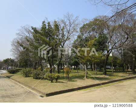 春の公園の木々 121900588