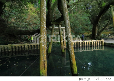 鹿島神宮 121900622