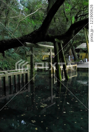 鹿島神宮 鹿島神宮 121900626