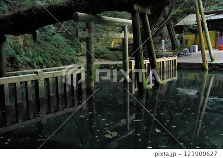 鹿島神宮 121900627