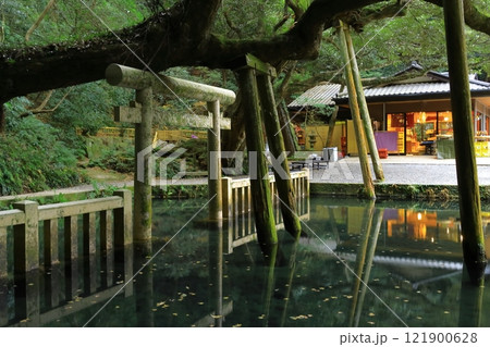 鹿島神宮 鹿島神宮 121900628