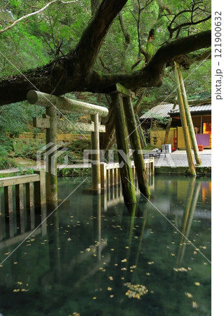 鹿島神宮 121900632