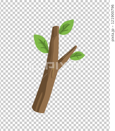 branch branch 121900796