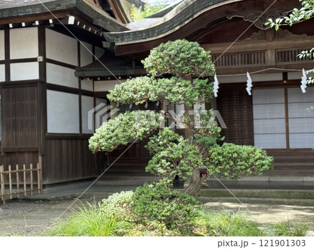 古き良き日本の風景 古き良き日本の風景 121901303