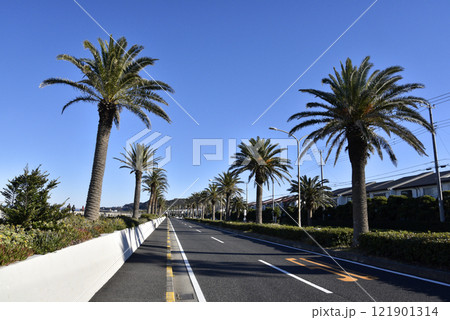 うみかぜの路　海辺の散歩道 121901314