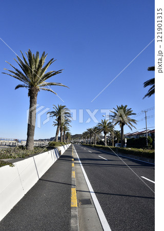 うみかぜの路 海辺の散歩道 うみかぜの路 海辺の散歩道 121901315