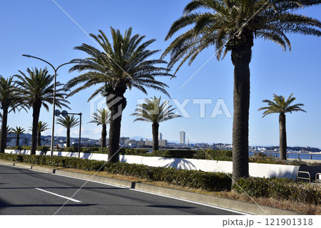 うみかぜの路　海辺の散歩道 121901318