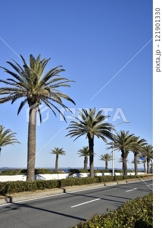 うみかぜの路　海辺の散歩道 121901330