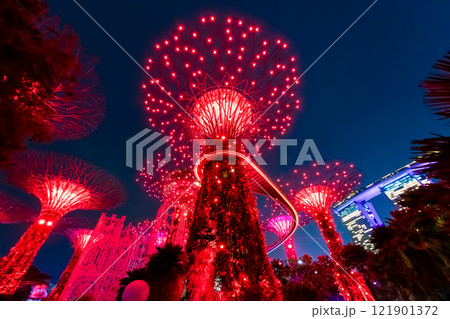 シンガポールのガーデンズバイザベイから望む、赤くライトアップされるスーパーツリーグローブ 121901372