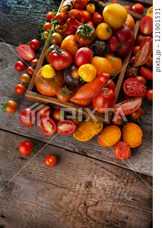 Summer harvest of tomatoes of different varieties and colors on a wooden table top view. Multi-colored vegetables - tomato. 121901531