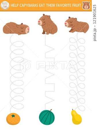 Vector handwriting practice worksheet with capybaras, tangerine. Printable activity for preschool kids with cute animals. Tracing game for writing skills. Help capibaras eat favorite fruit Vector handwriting practice worksheet with capybaras, tangerine. Printable activity for preschool kids with cute animals. Tracing game for writing skills. Help capibaras eat favorite fruit 121901625