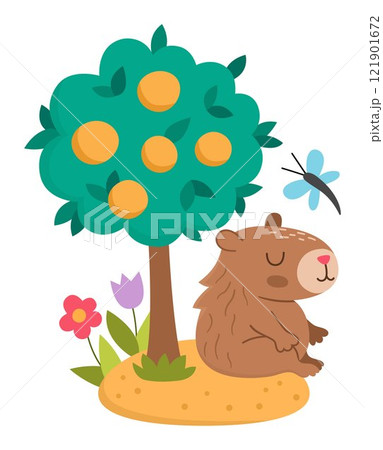 Vector capybara illustration. Cute scene with capibara sitting under tangerine tree with closed eyes, with dragonfly and flowers. Funny spring or summer scene with adorable animal Vector capybara illustration. Cute scene with capibara sitting under tangerine tree with closed eyes, with dragonfly and flowers. Funny spring or summer scene with adorable animal 121901672