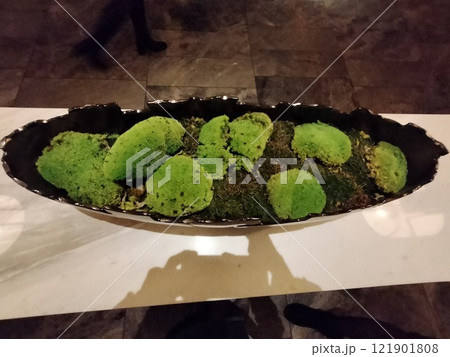 苔玉 121901808