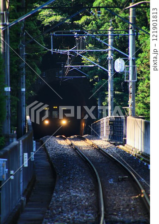 芽吹きの春を迎えた奥鬼怒路を行く… 川治温泉駅にて『6050系』 121901813