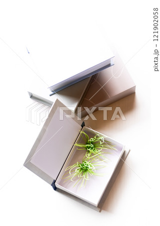 ブックボックス・本型小物入れ 121902058