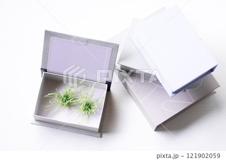 ブックボックス・本型小物入れ 121902059