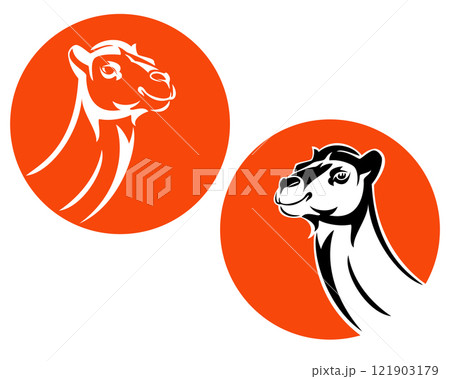 arabian camel head and red sun vector design 121903179