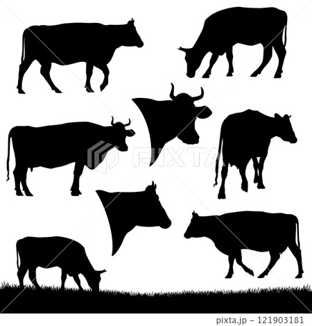 detailed realistic cows black and white vector silhouette set detailed realistic cows black and white vector silhouette set 121903181