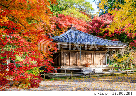 秋の富貴寺 大分県豊後高田市 秋の富貴寺 大分県豊後高田市 121903291