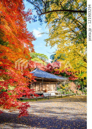 秋の富貴寺 大分県豊後高田市 秋の富貴寺 大分県豊後高田市 121903294