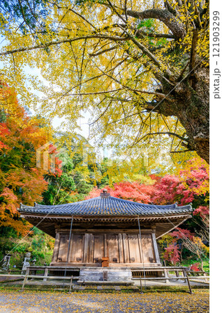 秋の富貴寺　大分県豊後高田市 121903299