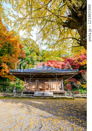 秋の富貴寺 大分県豊後高田市 秋の富貴寺 大分県豊後高田市 121903300